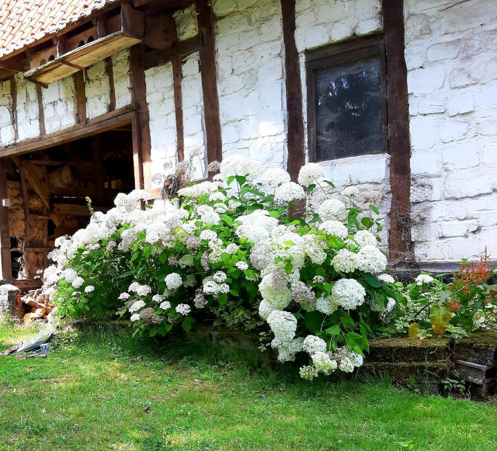 Le Domaine Des Anges Guest House Wavrans-sur-l'Aa Екстериор снимка