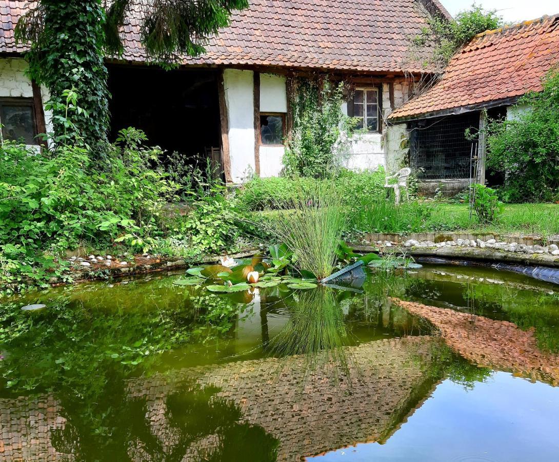 Le Domaine Des Anges Guest House Wavrans-sur-l'Aa Екстериор снимка