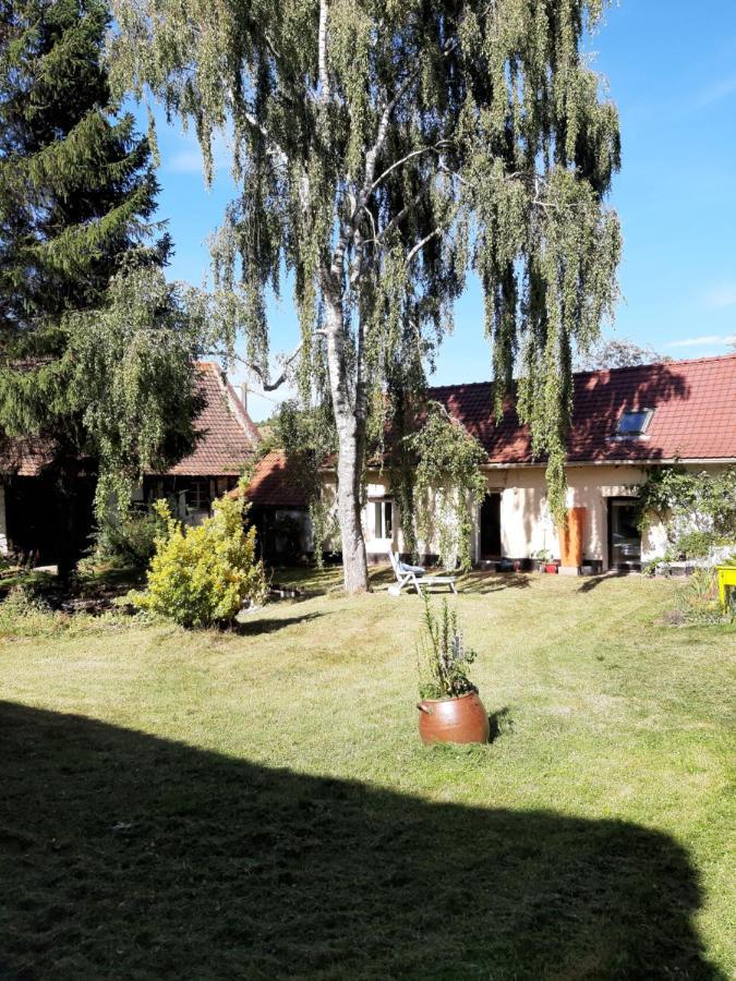 Le Domaine Des Anges Guest House Wavrans-sur-l'Aa Екстериор снимка